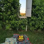 Casa La Concia * Potenza Picena