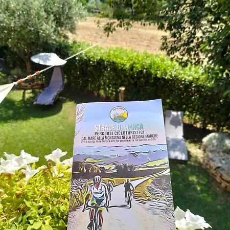 Casa La Concia Διαμέρισμα